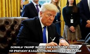 Trump | DONALD TRUMP SIGNED AN EXECUTIVE ORDER TO PREVENT ILLEGALS FROM RECEIVING WELFARE | image tagged in trump | made w/ Imgflip meme maker