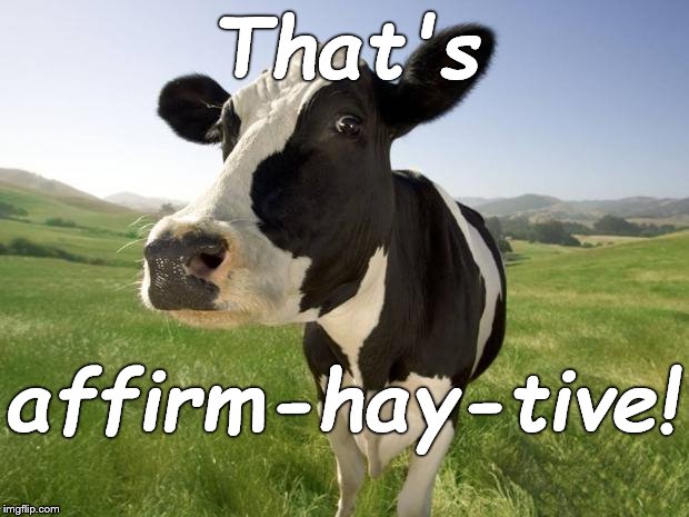 cow | That's affirm-hay-tive! | image tagged in cow | made w/ Imgflip meme maker