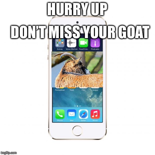 iPhone | DON’T MISS YOUR GOAT; HURRY UP | image tagged in iphone | made w/ Imgflip meme maker