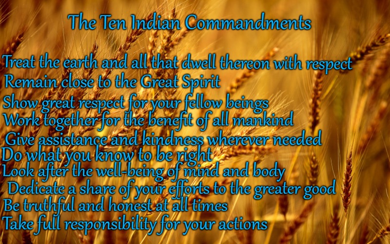 The Ten Indian Commandments | The Ten Indian Commandments; Treat the earth and all that dwell thereon with respect; Remain close to the Great Spirit; Show great respect for your fellow beings; Work together for the benefit of all mankind; Give assistance and kindness wherever needed; Do what you know to be right; Look after the well-being of mind and body; Dedicate a share of your efforts to the greater good; Be truthful and honest at all times; Take full responsibility for your actions | image tagged in native american,native americans,indians,indian chief,chief,tribe | made w/ Imgflip meme maker
