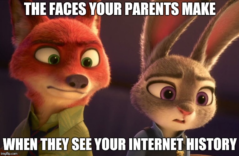Nick and Judy meet the internet | THE FACES YOUR PARENTS MAKE; WHEN THEY SEE YOUR INTERNET HISTORY | image tagged in nick wilde and judy hopps in disbelief,zootopia,nick wilde,judy hopps,funny,memes | made w/ Imgflip meme maker