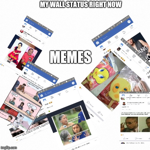 White backround | MEMES; MY WALL STATUS RIGHT NOW | image tagged in white backround | made w/ Imgflip meme maker