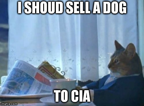 I Should Buy A Boat Cat | I SHOUD SELL A DOG; TO CIA | image tagged in memes,i should buy a boat cat | made w/ Imgflip meme maker
