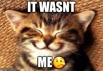 smiling kitty | IT WASNT; ME🤥 | image tagged in smiling kitty | made w/ Imgflip meme maker