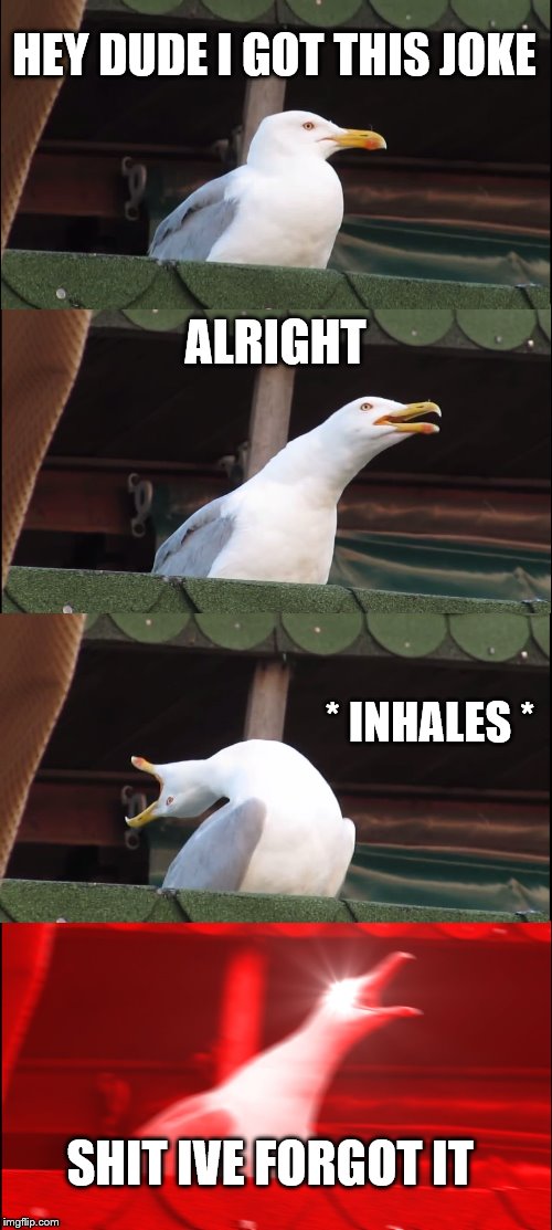 Inhaling Seagull | HEY DUDE I GOT THIS JOKE; ALRIGHT; * INHALES *; SHIT IVE FORGOT IT | image tagged in memes,inhaling seagull | made w/ Imgflip meme maker