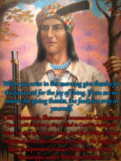 Chief Tecumseh, Shawnee - Tecumseh's Confederacy | When you arise in the morning give thanks for; the food and for the joy of living. If you see no; reason for giving thanks, the fault lies only in; yourself. Chief Tecumseh, Shawnee- Tecumseh's Confedercy; March 1768-October 5, 1813 - Killed in Canada during the; War of 1812 as he, his army, and the British Army; retreated from the American Army.  He fought to; have Independent Indian Nation east of the; Mississippi under British protection. | image tagged in native american,native americans,indians,chief,indian chief,tribe | made w/ Imgflip meme maker