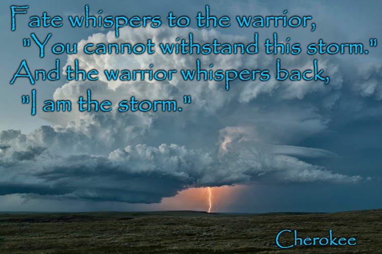 Cherokee Saying I Am The Storm | Fate whispers to the warrior, "You cannot withstand this storm."; And the warrior whispers back, "I am the storm."; Cherokee | image tagged in native american,native americans,indians,chief,indian chief,tribe | made w/ Imgflip meme maker