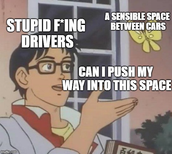 Is This A Pigeon Meme | A SENSIBLE SPACE BETWEEN CARS; STUPID F*ING DRIVERS; CAN I PUSH MY WAY INTO THIS SPACE | image tagged in memes,is this a pigeon | made w/ Imgflip meme maker