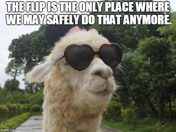 cool llama | THE FLIP IS THE ONLY PLACE WHERE WE MAY SAFELY DO THAT ANYMORE. | image tagged in cool llama | made w/ Imgflip meme maker