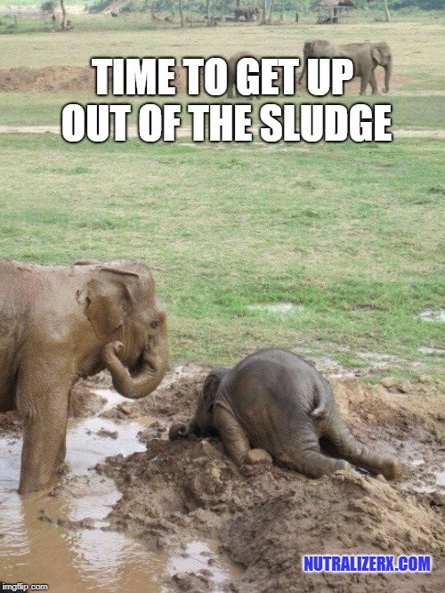 Monday Elephant | TIME TO GET UP OUT OF THE SLUDGE; NUTRALIZERX.COM | image tagged in monday elephant,sludge,dirty,mess,tired,boat | made w/ Imgflip meme maker