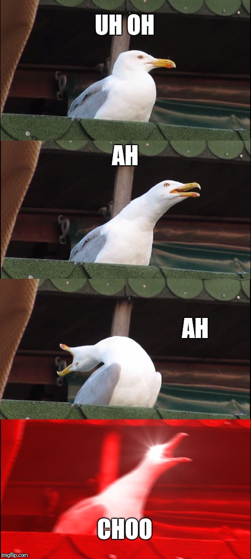 Inhaling Seagull | UH OH; AH; AH; CHOO | image tagged in memes,inhaling seagull | made w/ Imgflip meme maker