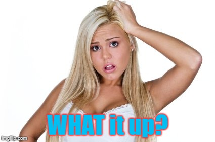 Dumb Blonde | WHAT it up? | image tagged in dumb blonde | made w/ Imgflip meme maker
