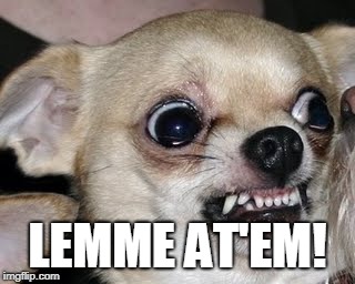angry dog | LEMME AT'EM! | image tagged in angry dog | made w/ Imgflip meme maker