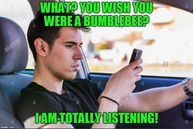 WHAT? YOU WISH YOU WERE A BUMBLEBEE? I AM TOTALLY LISTENING! | image tagged in distracted | made w/ Imgflip meme maker