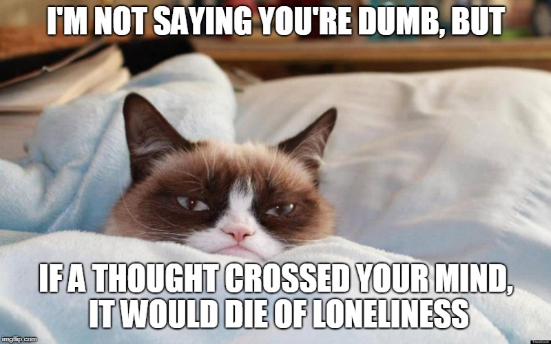 grumpy cat bed | I'M NOT SAYING YOU'RE DUMB, BUT IF A THOUGHT CROSSED YOUR MIND, IT WOULD DIE OF LONELINESS | image tagged in grumpy cat bed | made w/ Imgflip meme maker