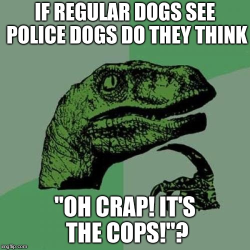 Philosoraptor Meme |  IF REGULAR DOGS SEE POLICE DOGS DO THEY THINK; "OH CRAP! IT'S THE COPS!"? | image tagged in memes,philosoraptor | made w/ Imgflip meme maker