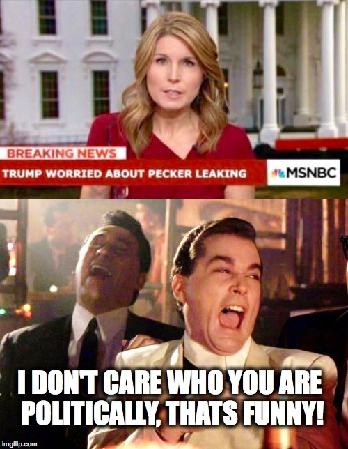 that headline will be memorable  | I DON'T CARE WHO YOU ARE POLITICALLY, THATS FUNNY! | image tagged in donald trump,weatherman penis fail,msnbc,laughing,fake news | made w/ Imgflip meme maker