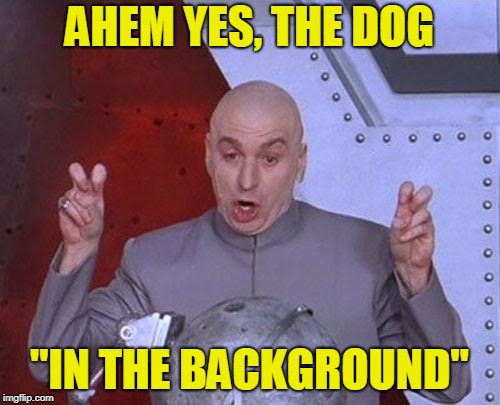 Dr Evil Laser Meme | AHEM YES, THE DOG "IN THE BACKGROUND" | image tagged in memes,dr evil laser | made w/ Imgflip meme maker
