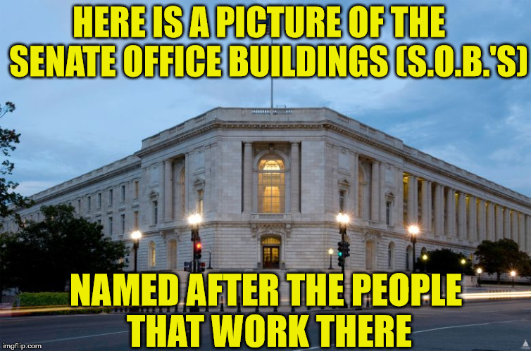 Exactly What I Call Them | HERE IS A PICTURE OF THE   SENATE OFFICE BUILDINGS (S.O.B.'S); NAMED AFTER THE PEOPLE THAT WORK THERE | image tagged in senate,memes,what if i told you | made w/ Imgflip meme maker