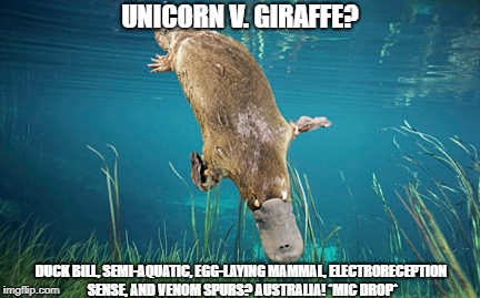unicorn v. giraffe | UNICORN V. GIRAFFE? DUCK BILL, SEMI-AQUATIC, EGG-LAYING MAMMAL, ELECTRORECEPTION SENSE, AND VENOM SPURS?
AUSTRALIA! *MIC DROP* | image tagged in unicorn,giraffe,platypus,meanwhile in australia | made w/ Imgflip meme maker