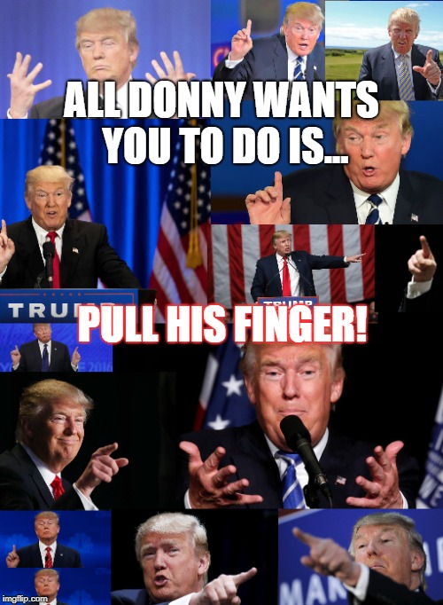 Donald Trump's Finger | ALL DONNY WANTS YOU TO DO IS... PULL HIS FINGER! | image tagged in donald trump the clown,donald trump is an idiot,pull my finger,president trump | made w/ Imgflip meme maker