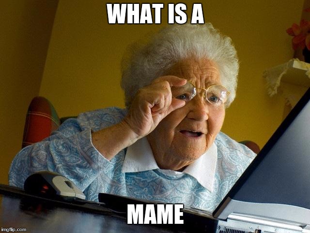 Grandma Finds The Internet | WHAT IS A; MAME | image tagged in memes,grandma finds the internet | made w/ Imgflip meme maker