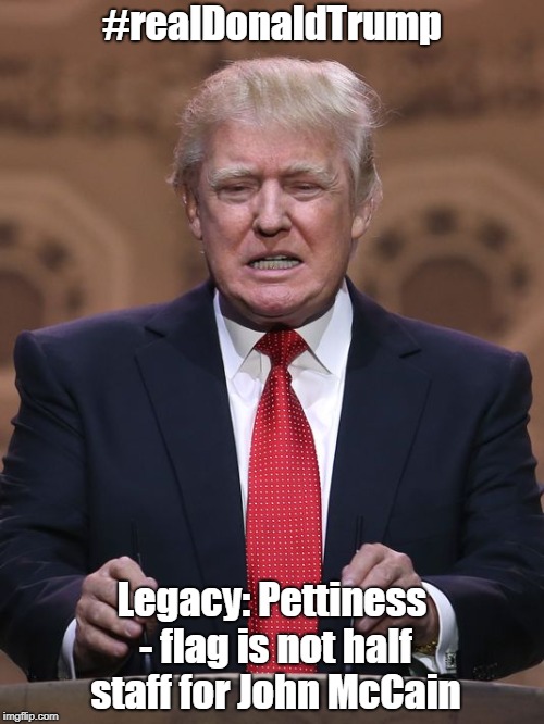 Donald Trump | #realDonaldTrump; Legacy: Pettiness - flag is not half staff for John McCain | image tagged in donald trump | made w/ Imgflip meme maker