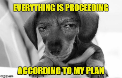 According to plan | EVERYTHING IS PROCEEDING; ACCORDING TO MY PLAN | image tagged in dog villain,memes | made w/ Imgflip meme maker
