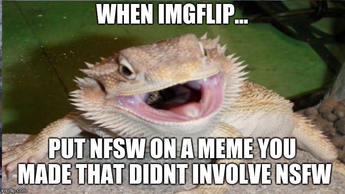 why imgflip... why... | WHEN IMGFLIP... PUT NFSW ON A MEME YOU MADE THAT DIDNT INVOLVE NSFW | image tagged in nsfw confusion,bearded dragon,why | made w/ Imgflip meme maker