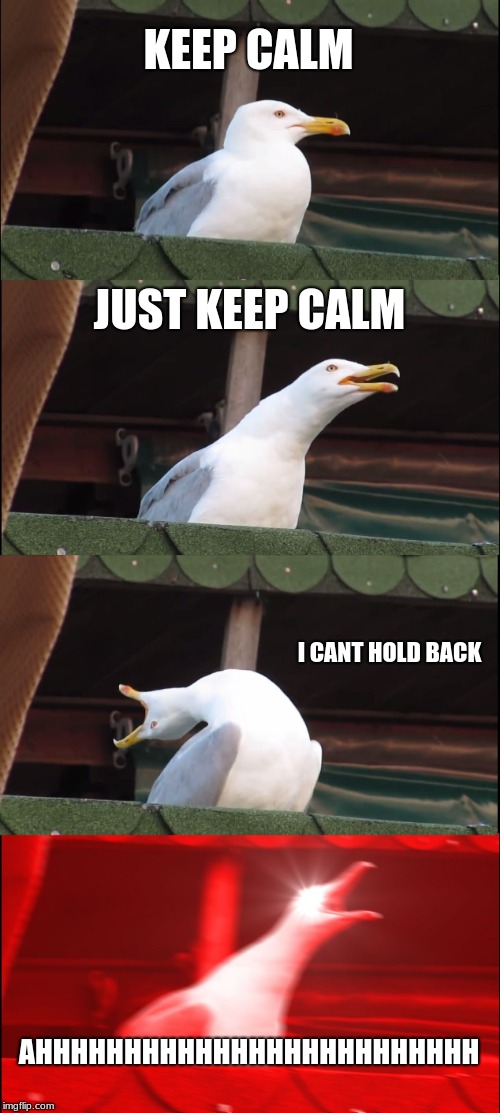 Inhaling Seagull | KEEP CALM; JUST KEEP CALM; I CANT HOLD BACK; AHHHHHHHHHHHHHHHHHHHHHHHHH | image tagged in memes,inhaling seagull | made w/ Imgflip meme maker