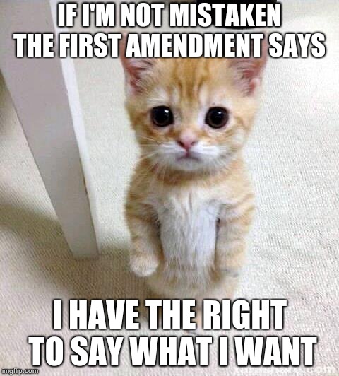 Cute Cat Meme | IF I'M NOT MISTAKEN THE FIRST AMENDMENT SAYS; I HAVE THE RIGHT TO SAY WHAT I WANT | image tagged in memes,cute cat | made w/ Imgflip meme maker