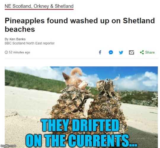 I have a pineapple... :) | THEY DRIFTED ON THE CURRENTS... | image tagged in memes,pineapples,oceans | made w/ Imgflip meme maker
