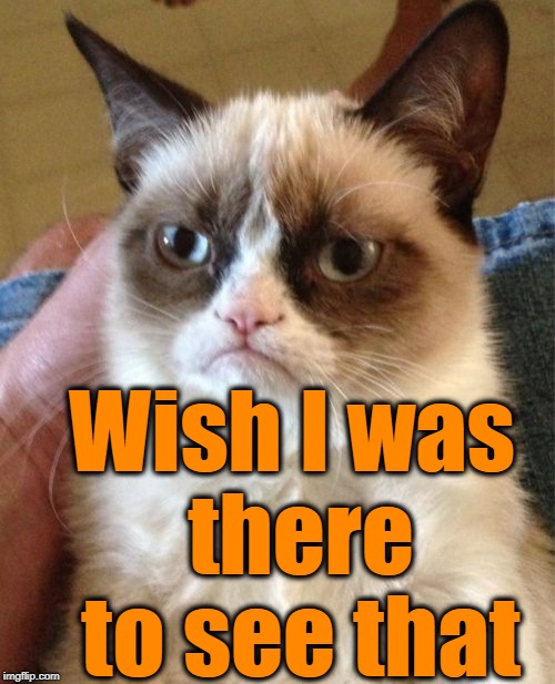 Grumpy Cat Meme | Wish I was there to see that | image tagged in memes,grumpy cat | made w/ Imgflip meme maker