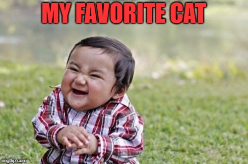 Evil Toddler Meme | MY FAVORITE CAT | image tagged in memes,evil toddler | made w/ Imgflip meme maker