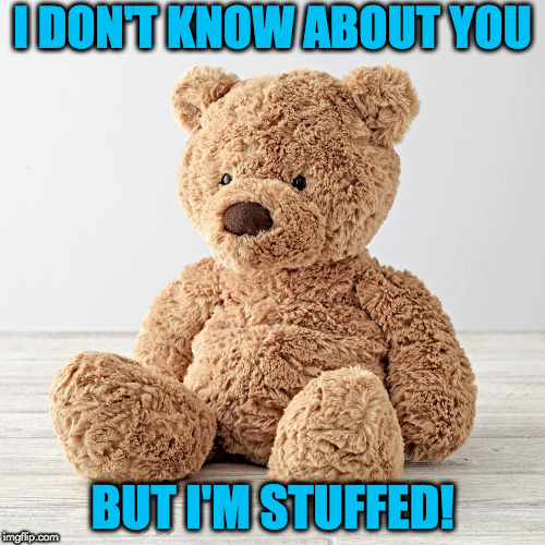 stuffed teddy | I DON'T KNOW ABOUT YOU; BUT I'M STUFFED! | image tagged in funny meme | made w/ Imgflip meme maker