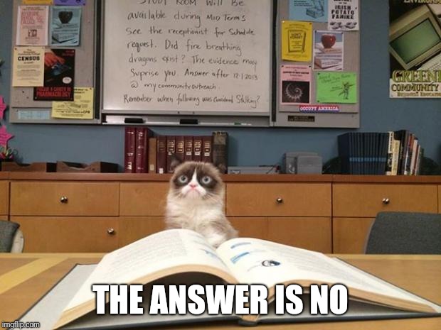 Grumpy cat studying | THE ANSWER IS NO | image tagged in grumpy cat studying | made w/ Imgflip meme maker