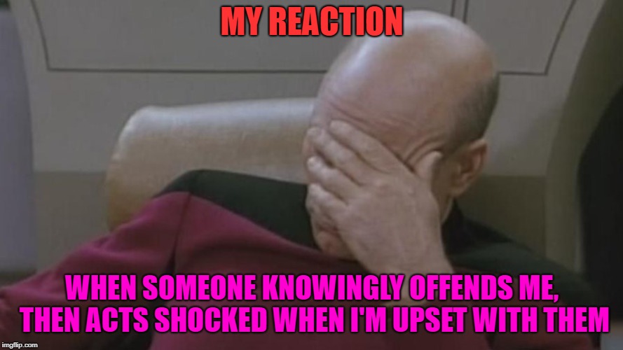 Reactionary | MY REACTION; WHEN SOMEONE KNOWINGLY OFFENDS ME, THEN ACTS SHOCKED WHEN I'M UPSET WITH THEM | image tagged in captain picard facepalm,offended,really | made w/ Imgflip meme maker