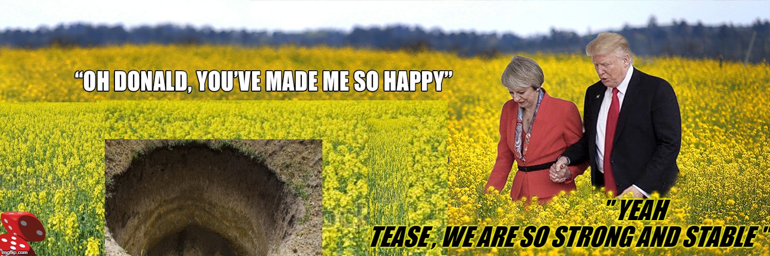 " YEAH TEASE , WE ARE SO STRONG AND STABLE " | image tagged in may trump field | made w/ Imgflip meme maker