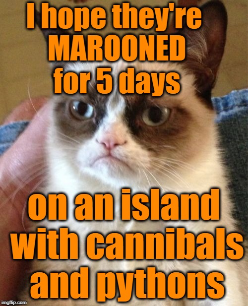 Grumpy Cat Meme | I hope they're MAROONED for 5 days on an island with cannibals and pythons | image tagged in memes,grumpy cat | made w/ Imgflip meme maker