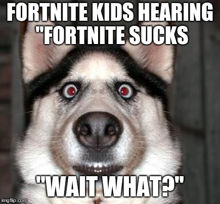 dogs face when he has to fart | FORTNITE KIDS HEARING "FORTNITE SUCKS; "WAIT WHAT?" | image tagged in dogs face when he has to fart | made w/ Imgflip meme maker