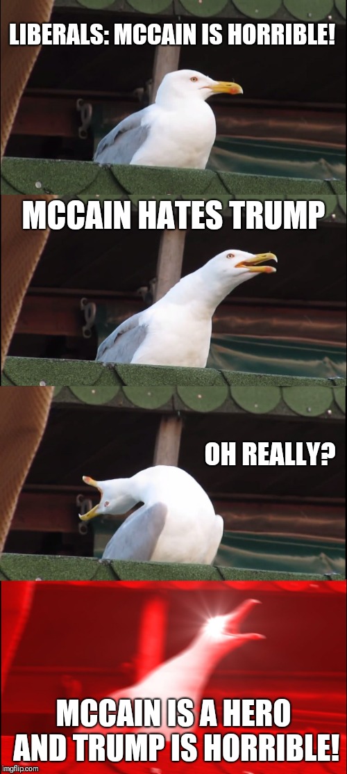 Inhaling Seagull | LIBERALS: MCCAIN IS HORRIBLE! MCCAIN HATES TRUMP; OH REALLY? MCCAIN IS A HERO AND TRUMP IS HORRIBLE! | image tagged in memes,inhaling seagull | made w/ Imgflip meme maker