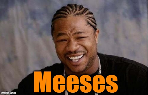 Yo Dawg Heard You Meme | Meeses | image tagged in memes,yo dawg heard you | made w/ Imgflip meme maker