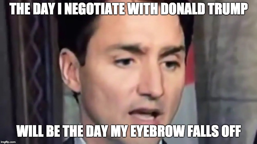 Tough Guy Trudeau  | THE DAY I NEGOTIATE WITH DONALD TRUMP; WILL BE THE DAY MY EYEBROW FALLS OFF | image tagged in meanwhile in canada,justin trudeau | made w/ Imgflip meme maker