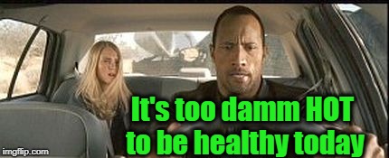 rock cab | It's too damm HOT to be healthy today | image tagged in rock cab | made w/ Imgflip meme maker