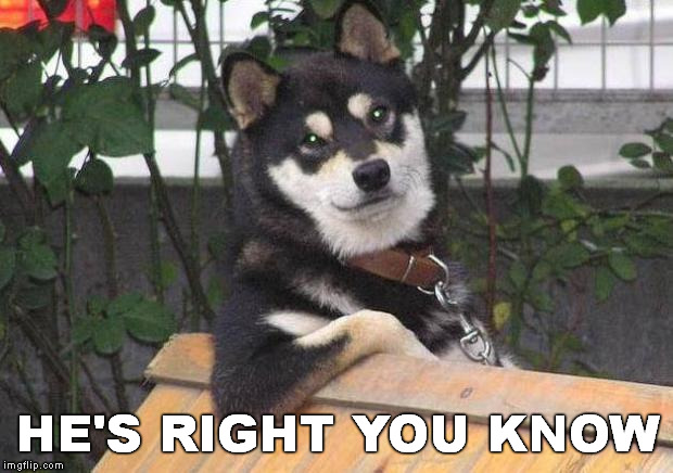 Cool dog | HE'S RIGHT YOU KNOW | image tagged in cool dog | made w/ Imgflip meme maker