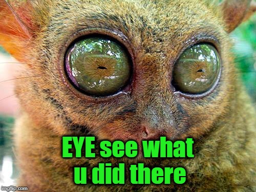 big eyes | EYE see what u did there | image tagged in big eyes | made w/ Imgflip meme maker