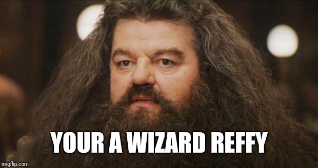 Hagrid | YOUR A WIZARD REFFY | image tagged in hagrid | made w/ Imgflip meme maker