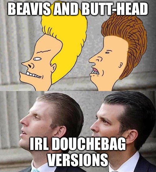 Our dads president!huh uh huh uh huhuhuh lol | BEAVIS AND BUTT-HEAD; IRL DOUCHEBAG VERSIONS | image tagged in donald trump,democrats,republicans,memes,political,funny | made w/ Imgflip meme maker