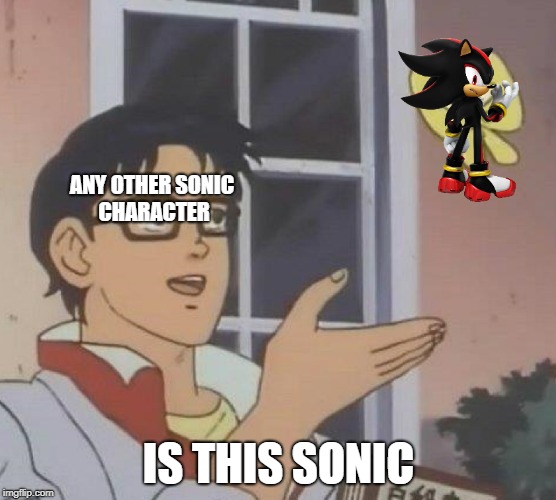 ANY OTHER SONIC CHARACTER; IS THIS SONIC | image tagged in is this a pigeon,sonic,sonic the hedgehog,shadow the hedgehog | made w/ Imgflip meme maker