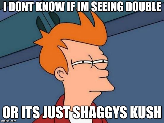 Futurama Fry Meme | I DONT KNOW IF IM SEEING DOUBLE; OR ITS JUST SHAGGYS KUSH | image tagged in memes,futurama fry | made w/ Imgflip meme maker
